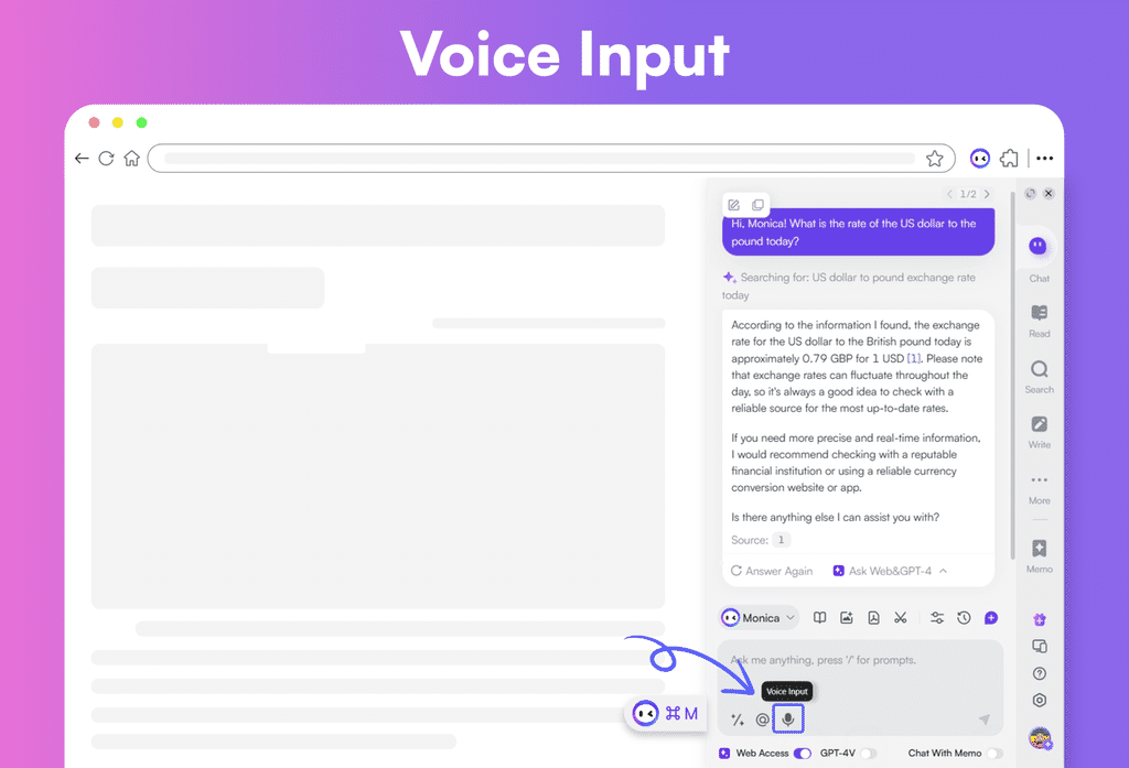 Voice Input